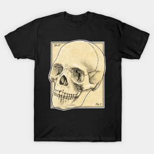 Anatomy textbook skull T-Shirt